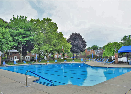 Community Photo